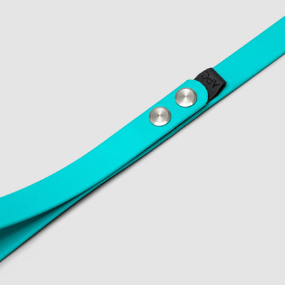 Lifetime Air Leash - Blemish