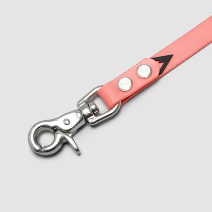 Lifetime Air Leash - Blemish