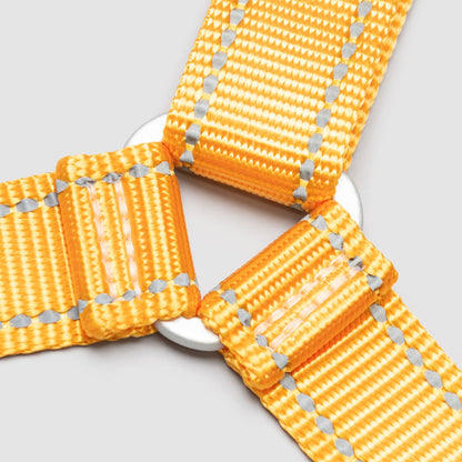 Lifetime Harness - Blemish