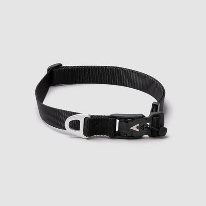 Lifetime Lite Collar - Blemish