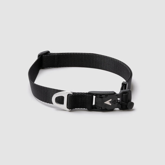 Lifetime Lite Collar - Blemish