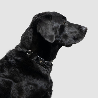 Lifetime Lite Collar - Blemish