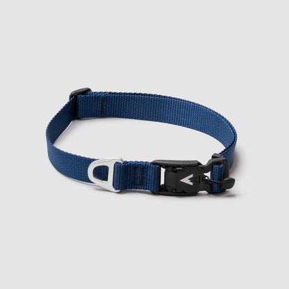 Lifetime Lite Collar - Blemish