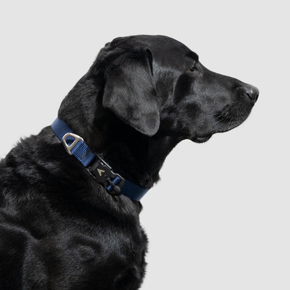 Lifetime Lite Collar - Blemish