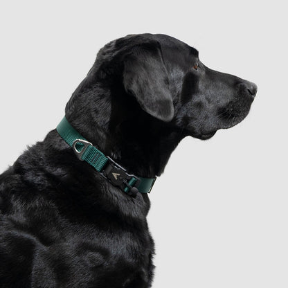 Lifetime Lite Collar - Blemish