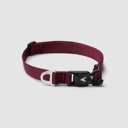 Lifetime Lite Collar - Blemish