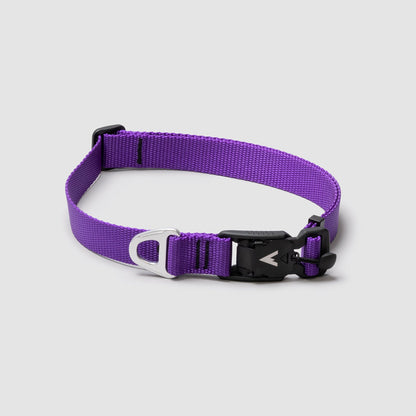 Lifetime Lite Collar - Blemish