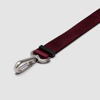 Lifetime Lite Leash - Blemish