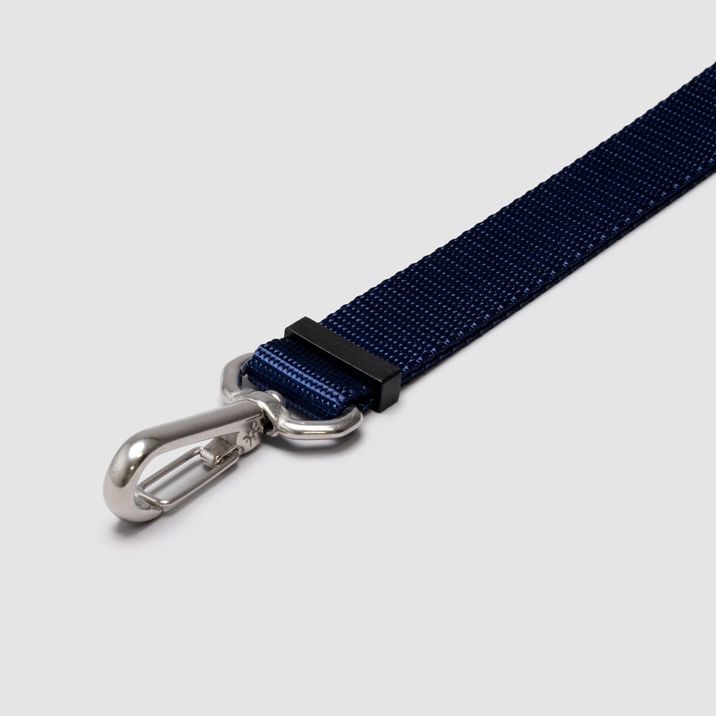 Lifetime Lite Leash - Blemish