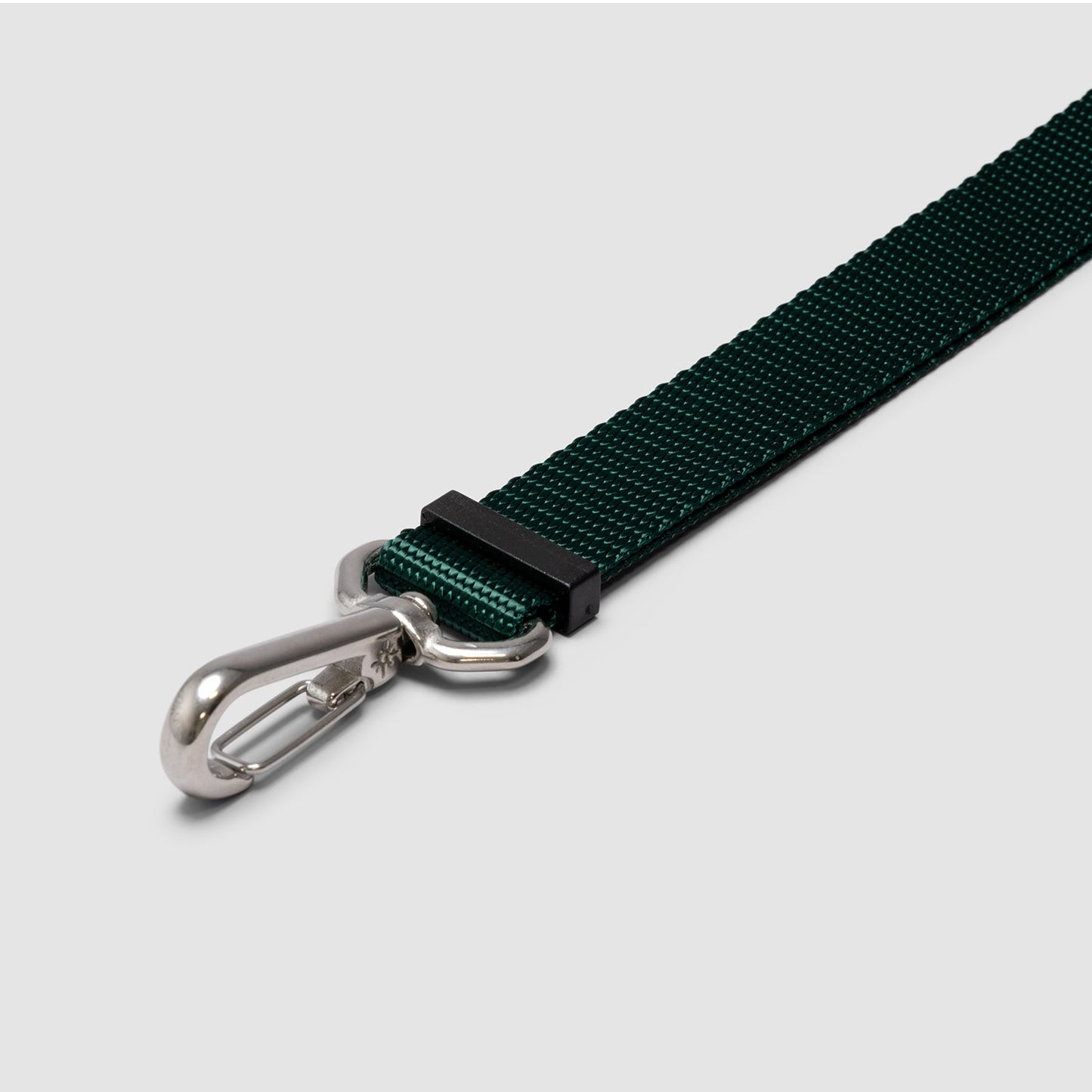 Lifetime Lite Leash - Blemish