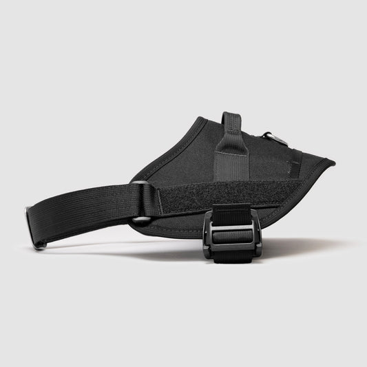 Lifetime Pro Harness