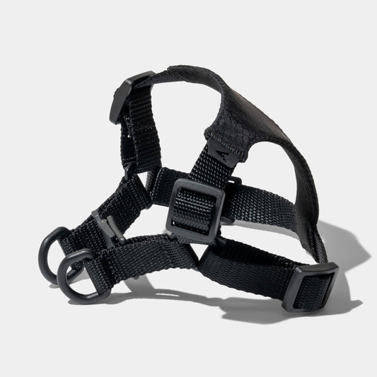 Lifetime Air Harness - Blemish